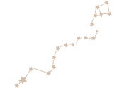 Hydra