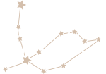 Pavo